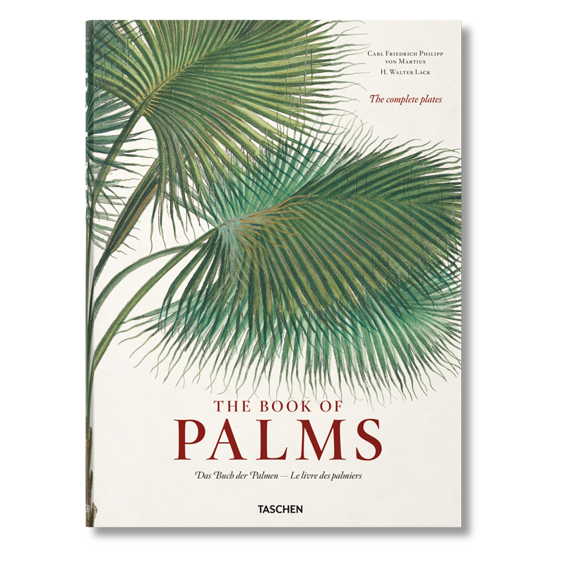 Книга The Book of Palms  в Санкт-петербурге | Loft Concept 