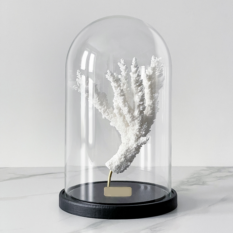 Статуэтка Natural Coral Branch Glass Cloche  в Санкт-петербурге | Loft Concept 