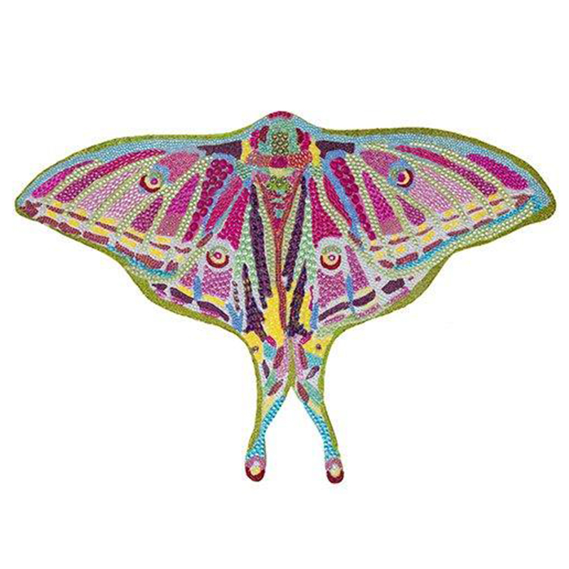 Картина “Spanish Moon Moth Butterfly Cut Out” Мульти в Санкт-петербурге | Loft Concept 