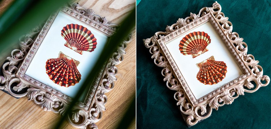 Постер Red Scallop Poster - Loft-Concept в Санкт-петербурге