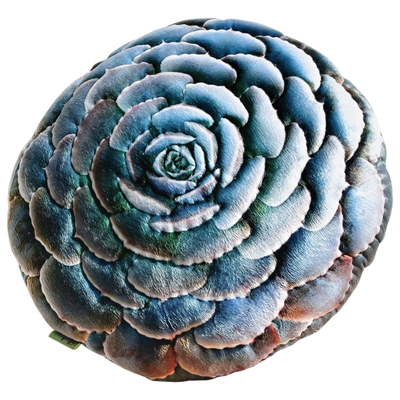 Декоративная подушка Botanical Cushion Succulentus Зеленый Зеленый шалфей Бирюзовый в Санкт-петербурге | Loft Concept 