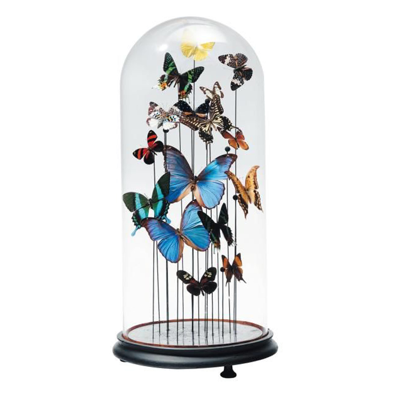 Статуэтка 15 Butterflies Glass Cloche  в Санкт-петербурге | Loft Concept 