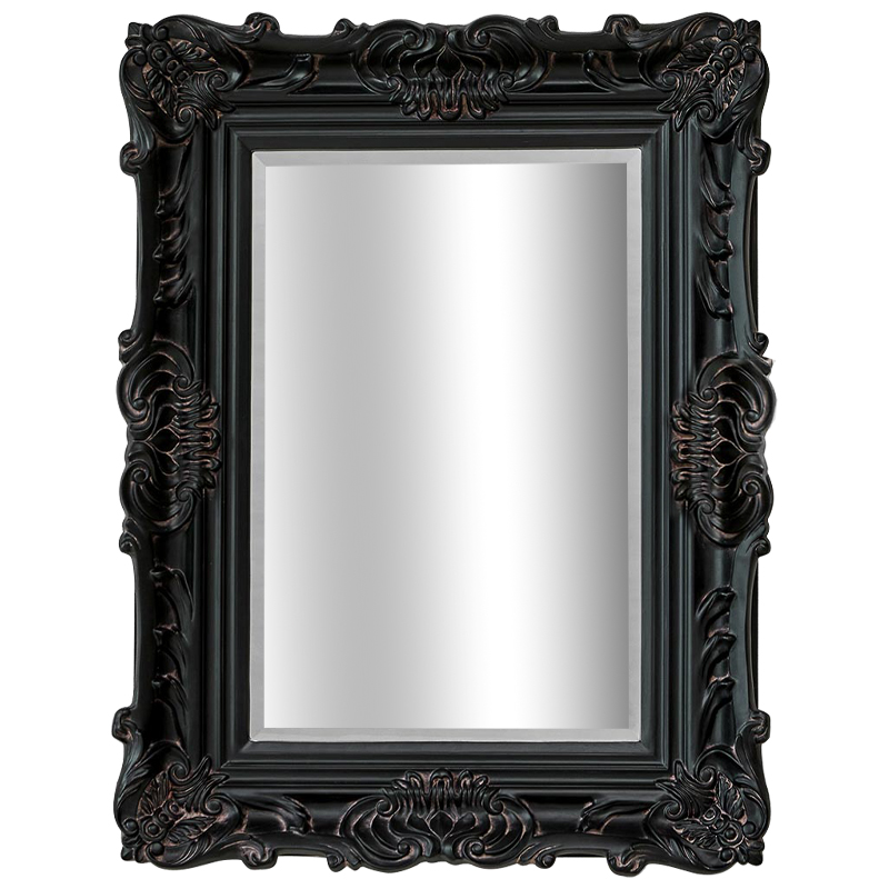 Зеркало Aryan Provence Mirror Black Черный Коричневый в Санкт-петербурге | Loft Concept 