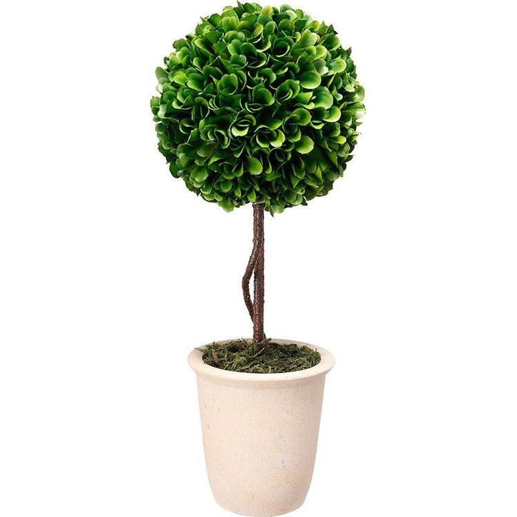 Декоративный искусственное растение Single boxwood Зеленый Бежевый Коричневый в Санкт-петербурге | Loft Concept 