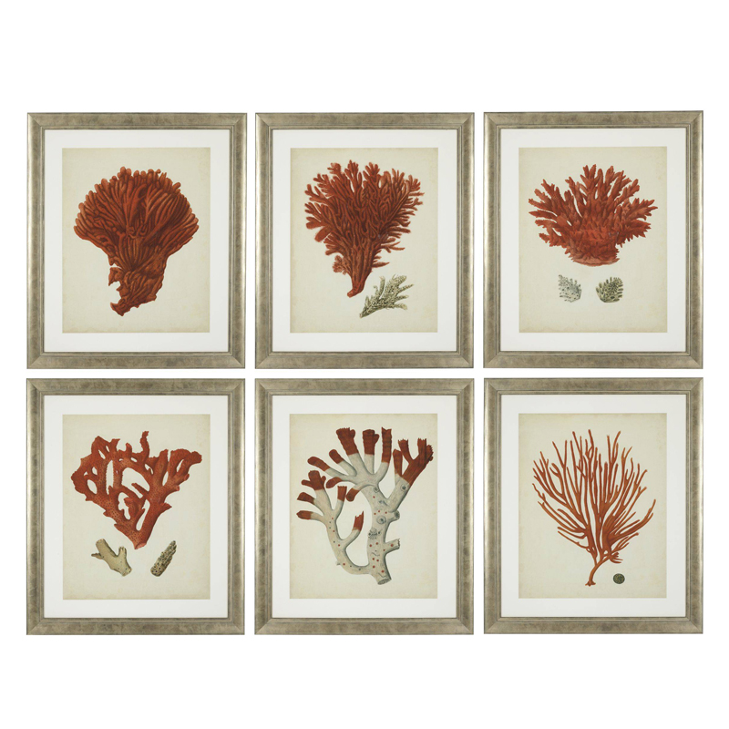 Комплект постеров Eichholtz Prints Antique Red Corals set of 6 Сатиновое Серебро  Коралловый Бежевый в Санкт-петербурге | Loft Concept 