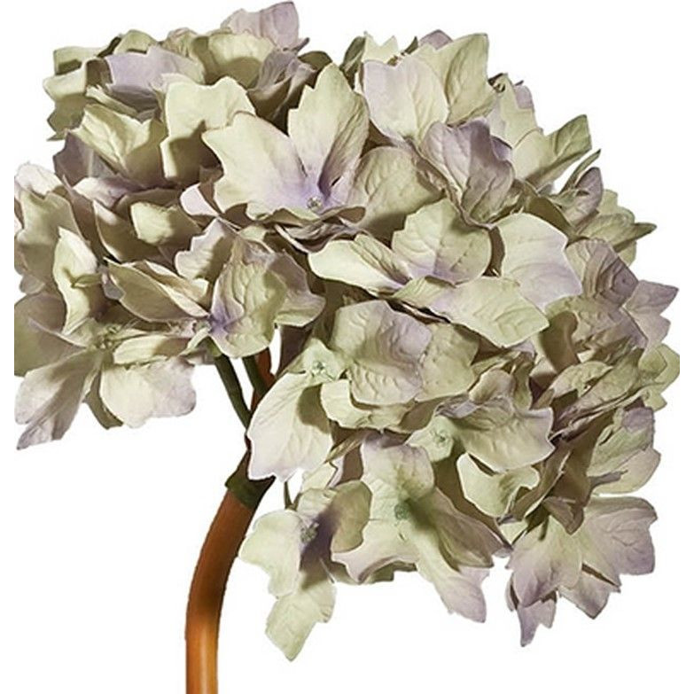 Декоративный искусственное растение Beige hydrangea Черный Бежевый Коричневый в Санкт-петербурге | Loft Concept 