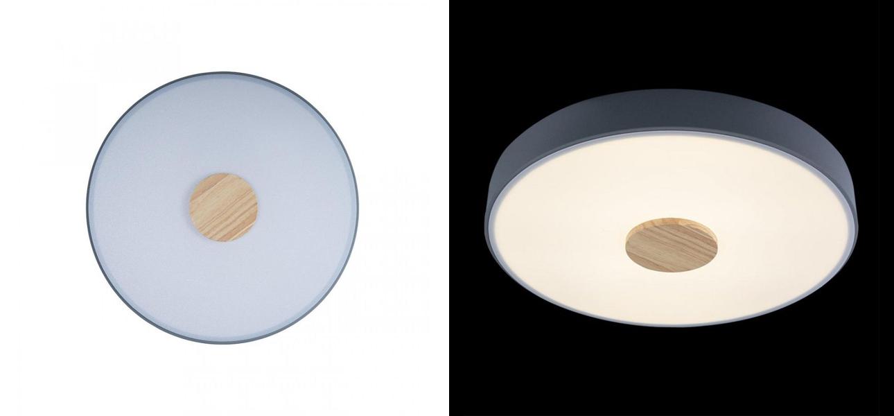 Потолочный светильник Wooden Wheels Grey диаметр 40 - фото