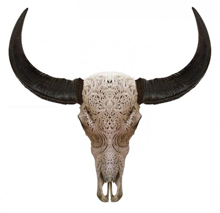 Череп буйвола с резьбой Buffalo Skull Tribal Carving Белый в Санкт-петербурге | Loft Concept 