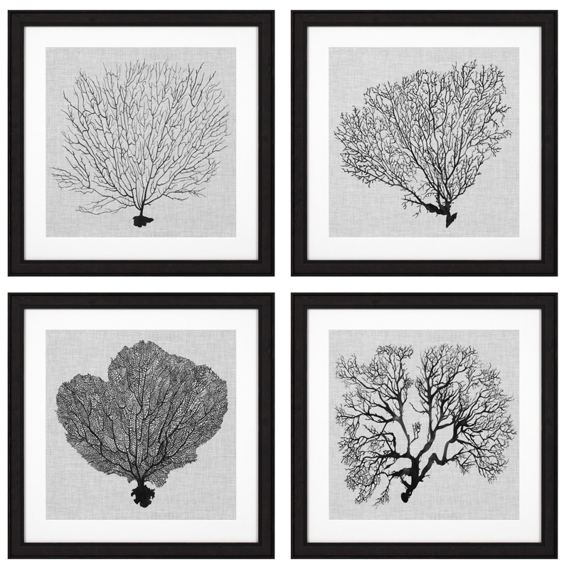 Комплект постеров Eichholtz Prints Shadow Sea Fans set of 4 Черный Черно-белый в Санкт-петербурге | Loft Concept 