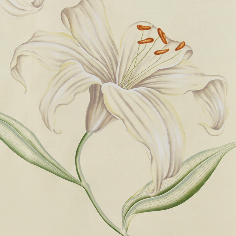 Обои ручная роспись Lilium Special Colourway on Ivory dyed silk  в Санкт-петербурге | Loft Concept 