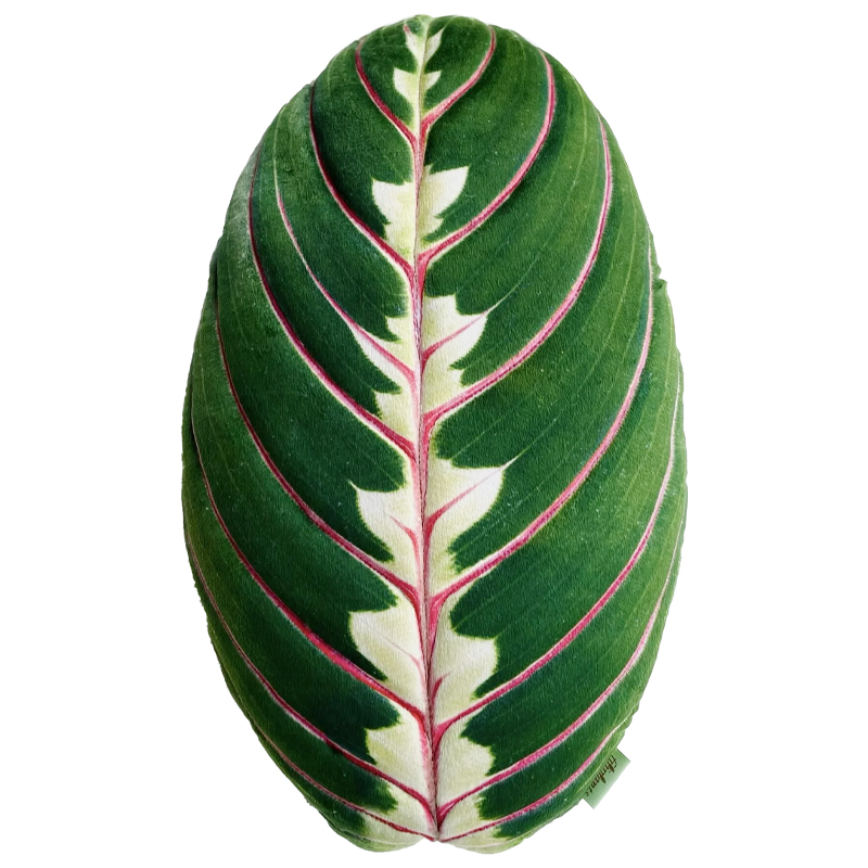 Декоративная подушка Botanical Cushion Maranta Trikolor Зеленый Бургундский красный в Санкт-петербурге | Loft Concept 