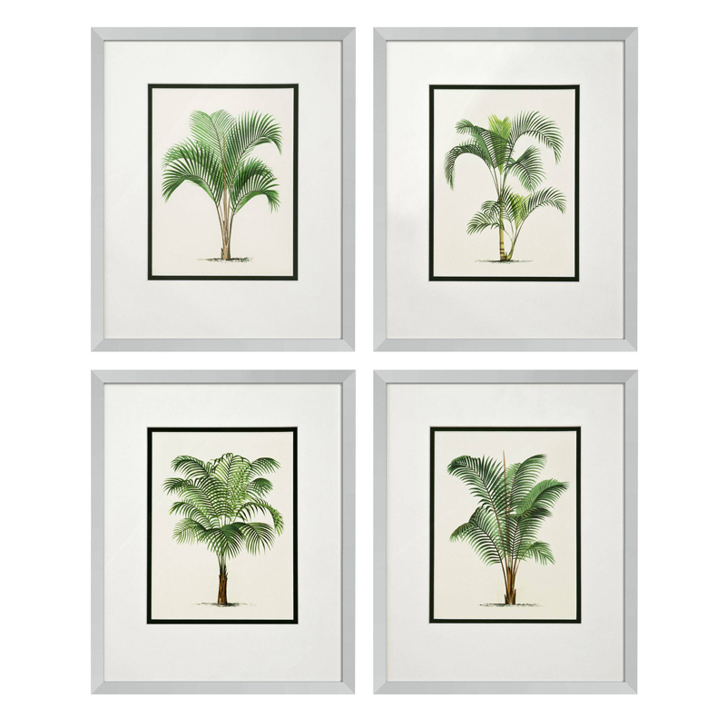 Комплект постеров Eichholtz Prints Palms set of 4 Белый Зеленый Серебряный в Санкт-петербурге | Loft Concept 