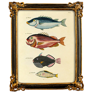 Постер в багетной раме Seabed Print 3