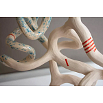 Скульптура «Papañca» варинант исполнения - 3 | Loft Concept в Санкт-петербурге