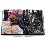 Книга подарочная Смелый бразильский стиль Сиг Бергамина Assouline Maximalism by Sig Bergamin варинант исполнения - 9 | Loft Concept в Санкт-петербурге