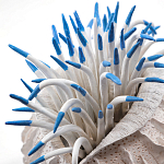 Статуэтка тропический фрукт Tropical Fruit White Blue варинант исполнения - 1 | Loft Concept в Санкт-петербурге