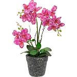 Декоративный искусственное растение Pink orchid варинант исполнения - 1 | Loft Concept в Санкт-петербурге
