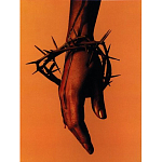 Подарочная книга величайший фотограф Альберт Уотсон The Vienna album Albert Watson варинант исполнения - 4 | Loft Concept в Санкт-петербурге