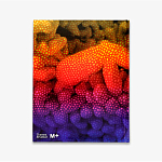 Редкое подарочное издание Yayoi Kusama: 1945 to Now варинант исполнения - 3 | Loft Concept в Санкт-петербурге