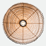 Подвесной светильник в виде купола декорированный белыми деревянными бусинами White Wooden Beads Hanging Lamp варинант исполнения - 4 | Loft Concept в Санкт-петербурге