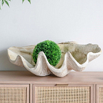 Блюдо декоративное в виде ракушки Seashell варинант исполнения - 3 | Loft Concept в Санкт-петербурге