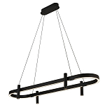 Люстра подвесная овальная черная  Black Light Fixtures варинант исполнения - 1 | Loft Concept в Санкт-петербурге