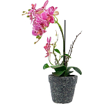 Декоративный искусственное растение Pink orchid варинант исполнения - 4 | Loft Concept в Санкт-петербурге