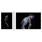 Монография художника Tavares Strachan - There is Light Somewhere варинант исполнения - 6 | Loft Concept в Санкт-петербурге