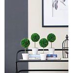 Декоративный искусственное растение Boxwood One варинант исполнения - 4 | Loft Concept в Санкт-петербурге