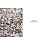 Книга Maison Lesage: Haute Couture Embroidery Mauries Patrick варинант исполнения - 11 | Loft Concept в Санкт-петербурге