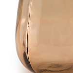 Ваза в виде бутыли TRANSPARENT FORMS 36 варинант исполнения - 5 | Loft Concept в Санкт-петербурге