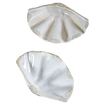 Фигурка из фарфора в виде одной створки ракушки Marine Tridacna варинант исполнения - 3 | Loft Concept в Санкт-петербурге