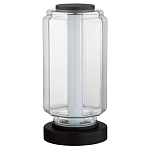 Настольная лампа с прозрачным плафоном Jarrty варинант исполнения - 1 | Loft Concept в Санкт-петербурге