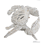 Статуэтка краб с детализированной текстурой в белом цвете Marine Accessories варинант исполнения - 4 | Loft Concept в Санкт-петербурге