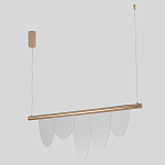 Люстра подвесная с пятью прозрачными элементами в форме лепестков и золотистым металлическим основанием DALI Tonin Casa варинант исполнения - 2 | Loft Concept в Санкт-петербурге