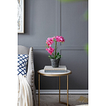 Декоративный искусственное растение Pink orchid варинант исполнения - 8 | Loft Concept в Санкт-петербурге