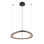 Люстра светодиодная  Iris варинант исполнения - 2 | Loft Concept в Санкт-петербурге