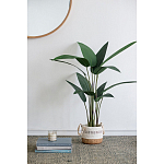 Декоративный искусственное растение Decor Stile  варинант исполнения - 7 | Loft Concept в Санкт-петербурге