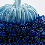 Статуэтка Синий тропический фрукт Tropical Fruit Pandora 1 варинант исполнения - 4 | Loft Concept в Санкт-петербурге