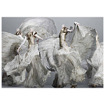 Alexander McQueen: Savage Beauty варинант исполнения - 2 | Loft Concept в Санкт-петербурге