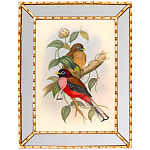 Постер с изображением птиц и цветов в зеркальной раме Blooming Birds Poster варинант исполнения - 7 | Loft Concept в Санкт-петербурге