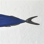 Плитка с узором Рыба пловчиха варинант исполнения - 6 | Loft Concept в Санкт-петербурге