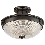 Потолочный светильник со стеклянным плафоном в виде купола Quoizel варинант исполнения - 8 | Loft Concept в Санкт-петербурге