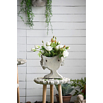 Кашпо Curly baby варинант исполнения - 10 | Loft Concept в Санкт-петербурге