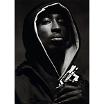 Подарочная книга величайший фотограф Альберт Уотсон The Vienna album Albert Watson варинант исполнения - 2 | Loft Concept в Санкт-петербурге