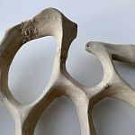 Блюдо «Бежевый коралл» варинант исполнения - 3 | Loft Concept в Санкт-петербурге