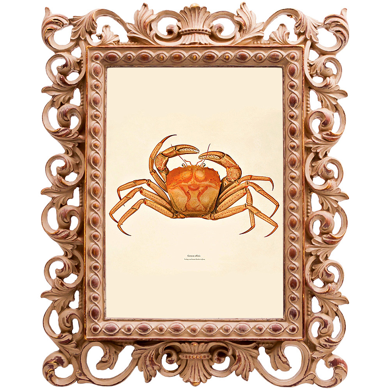 Постер Ocher Crab Poster Бежевый Оранжевый в Санкт-петербурге | Loft Concept 