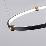 Люстра подвесная светодиодная черный металл Ring Horizontal варинант исполнения - 10 | Loft Concept в Санкт-петербурге