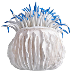 Статуэтка тропический фрукт Tropical Fruit White Blue варинант исполнения - 3 | Loft Concept в Санкт-петербурге