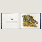 Лимитированная подарочная книга HERMES Fierce and Fragile book, English version варинант исполнения - 3 | Loft Concept в Санкт-петербурге